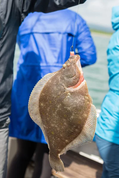 Flounder on hook. Bottom sea fishing in the Pacific near Kamchatka. — Stock Photo, Image