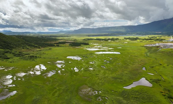 UZONI Béldi birtokok Caldera Kronotsky természetvédelmi terület, a Kamcsatka-félszigeten. — Stock Fotó