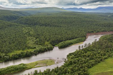 Zhupanova Nehri. Kamçatka Yarımadası 'ndaki Kronotsky Doğa Koruma Alanı.