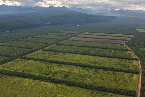 Fields of the Yelizovsky District in Kamchatka Peninsula. — Stock Photo, Image