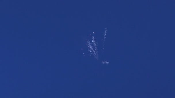 Belos fogos de artifício no fundo do céu azul . — Vídeo de Stock