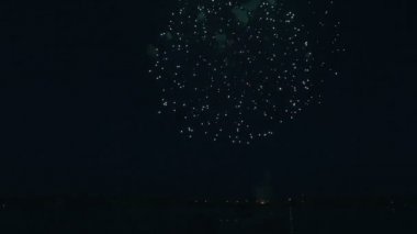 Nehrin üzerinde arka plan siyah gökyüzünün altında güzel havai fişek.