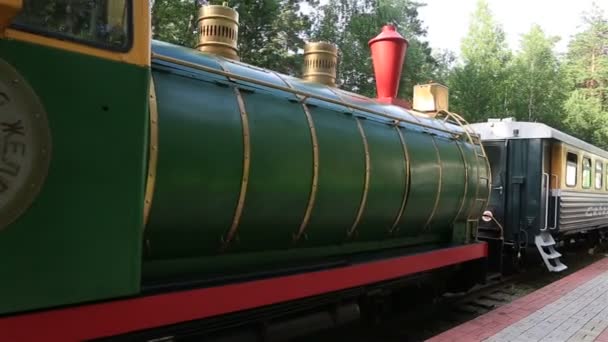 Children's railway in novosibirsk. Rusland. — Stockvideo