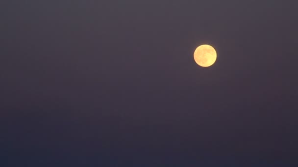 Luna llena con manchas de alivio en el cielo . — Vídeo de stock