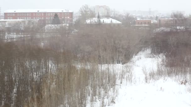 Snow on the background of a winter city. — Stock Video