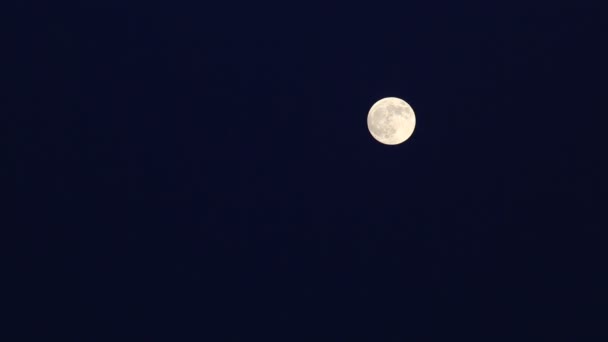 Luna llena con manchas de alivio en el cielo . — Vídeo de stock