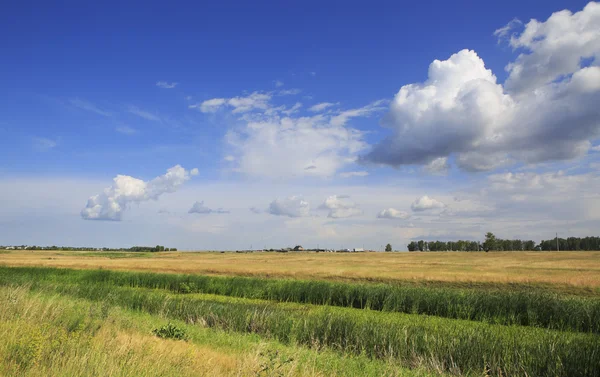 Clouds over fields. Beautiful summer landscape. — Stock Photo, Image