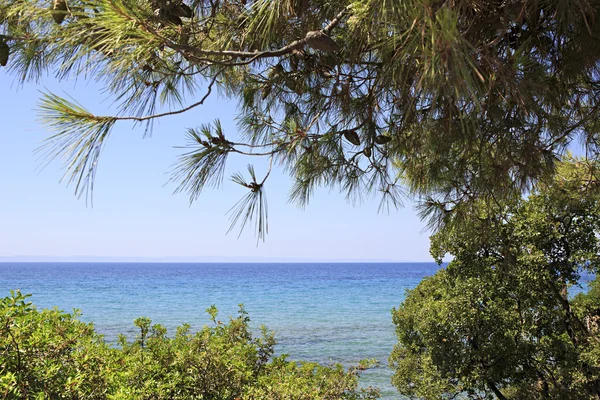 Mar Egeo a través de la hermosa vegetación . Fotos de stock