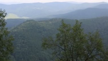 Belokurikha Dağı Tserkovka Altay Dağları Panoraması. Rusya.