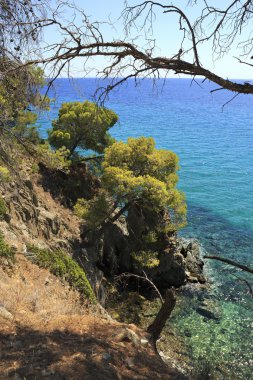 Ege Denizi'nin kıyısında pitoresk. Yaz manzara.