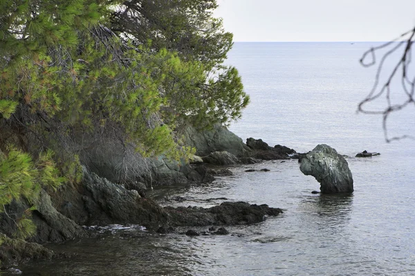 Pierre verte regarde hors de la mer Égée (tête de dinosaure ). — Photo