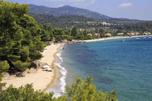 Wild sandy beach in the bay of the Aegean Sea. — Stock Photo, Image