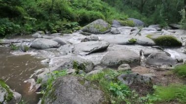 belokurikha dağ Altay Kray nehirde. Rusya.