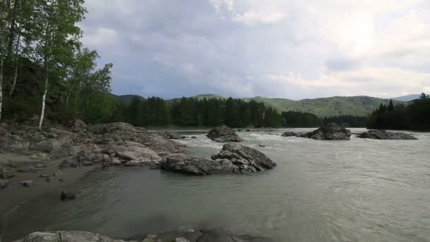 Szép nyári táj hegyi folyó katun. TimeLapse megtekintése. — Stock videók