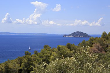 Aegean Sea Island'da Kelyfos (kaplumbağa).