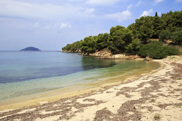 Wild sandy beach in the bay of the Aegean Sea. — Stock Photo, Image