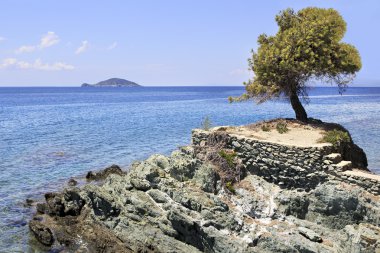 Yeşil kayalık çıkıntı ve Kelyfos (kaplumbağa) Adası Çam.