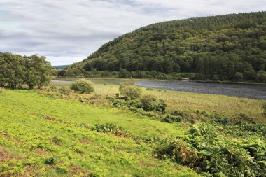 Lough Dan Wicklow Dağları Milli Parkı içinde