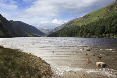Lough tay