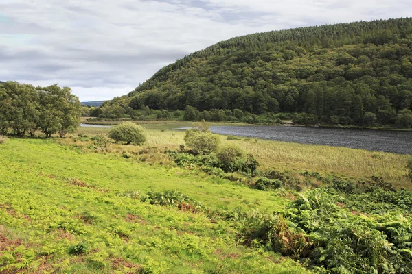 Lough Dan nel Wicklow Mountains National Park — Foto Stock