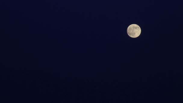 Luna llena con manchas de alivio en el cielo . — Vídeo de stock