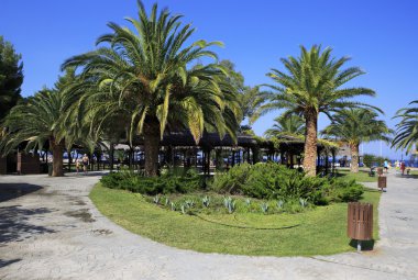 Palmiye ağaçları üzerinde bölge, Porto Carras Grand Resort. Sithon