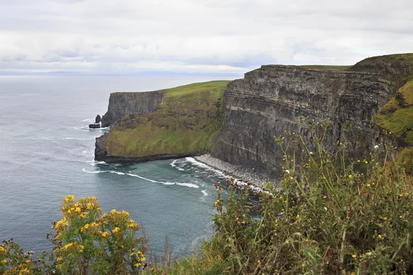 Útesy Moher a Atlantický oceán. Royalty Free Stock Obrázky