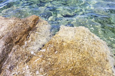 Taşlı Kıyı ve Ege denizinin temiz su.