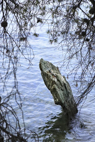 Zielony kamień wychodzi na morze. — Zdjęcie stockowe