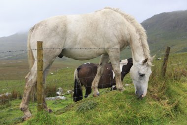 Arka plan bulutlar dağların güzel ata.