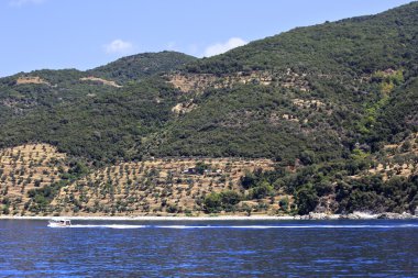 Zeytin bahçeleri üzerinde kutsal Mount Athos.