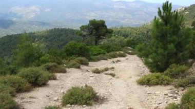 Dağlarda güzel toprak yol. Sithonia Yarımadası. Kuzey Yunanistan.
