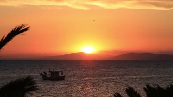 Beau coucher de soleil sur la mer Égée. Péninsule de Sithonie. Grèce du Nord . — Video