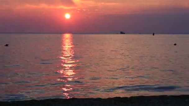 Beau coucher de soleil sur la mer Égée. Péninsule de Sithonie. Grèce du Nord . — Video