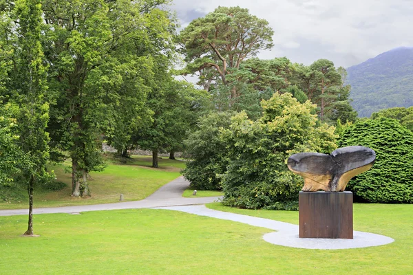 Slice old wood in form of heart. Muckross Garden. — Stock Photo, Image