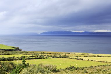 Atlantik Okyanusu üzerinde otlatma.