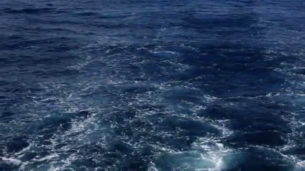 Gaviotas sobre pista desde el barco en el Mar Egeo. Norte de Grecia . — Vídeos de Stock