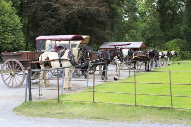 Demirleme at arabaları yürüme.