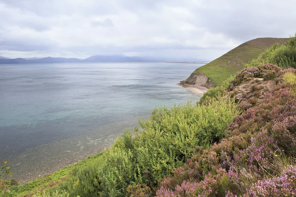 Beaux paysages le long de l'océan Atlantique . — Photo