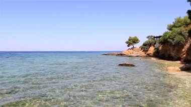 Taş çıkıntıya çam. Sithonia Yarımadası. Kuzey Yunanistan.