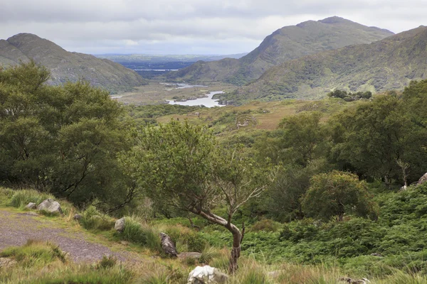 Ladies View v Killarney National Park. — Stock fotografie