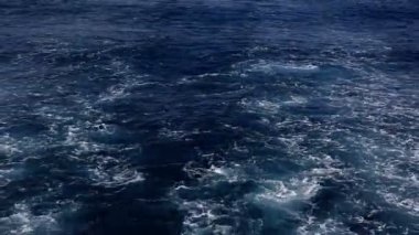 Martılar Ege Denizi'nde gemisinden iz üzerinde. Kuzey Yunanistan.