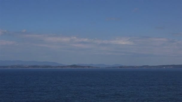 Γλάροι πετούν πάνω από τη θάλασσα. Βόρεια Ελλάδα. — Αρχείο Βίντεο