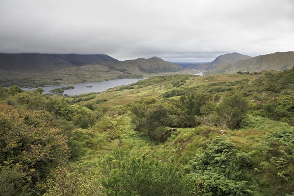 Damer Visa i Killarneys nationalpark. — Stockfoto