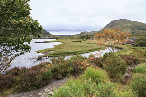 Övre sjön i Killarneys nationalpark. — Stockfoto