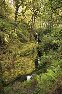 Şelale Wicklow Dağları Milli Parkı içinde.