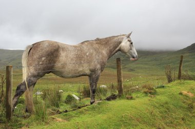 Arka plan bulutlar dağların ata.