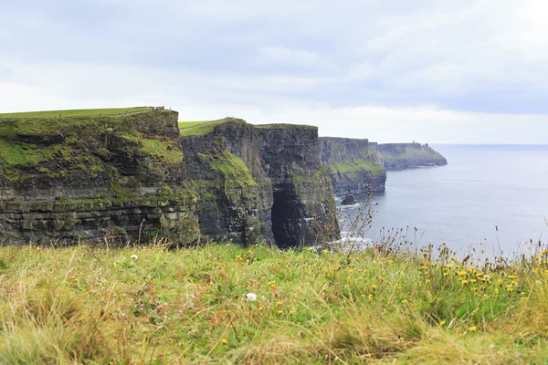 Scogliere di Moher e Oceano Atlantico. — Foto Stock