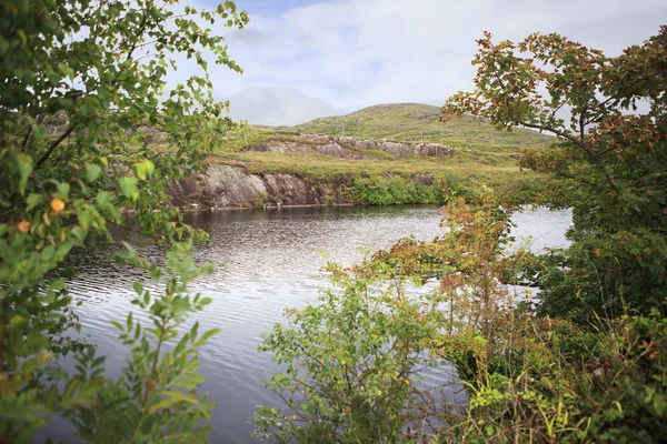 Vackra landskap med en sjö och vegetation. — Stockfoto