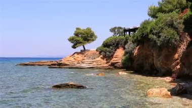 Taş çıkıntıya üzerinde güzel çam.